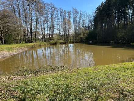 Angelverein Hetzerath 